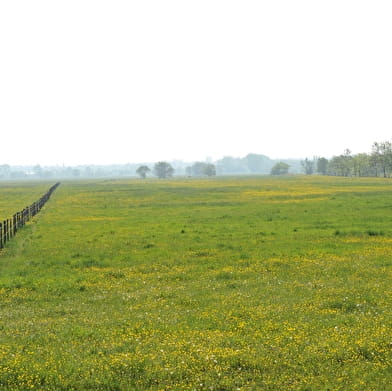 Circuit randonnée : L'ile de la Motte