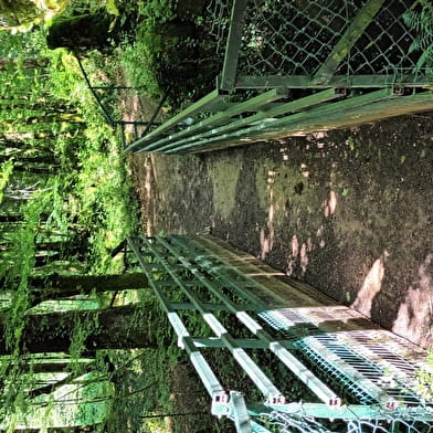 Sentier Karstique du Grand Bois