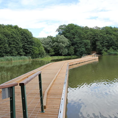 Balade - Tour du plan d'eau de la Grange du Pin
