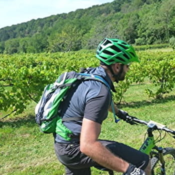 La Pierre qui Vire - MARNAY