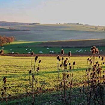 Circuit panoramique au départ de Bouhy - BOUHY
