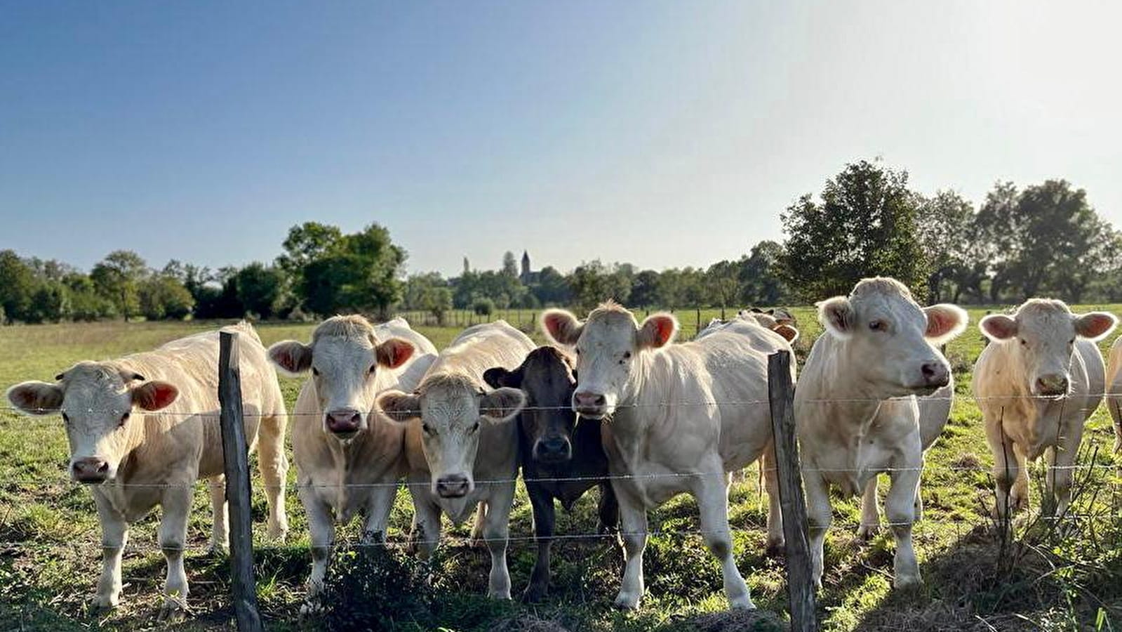 Circuit randonnée : entre bois et rivière