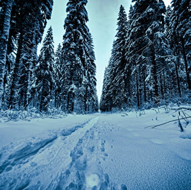 Sentier raquettes : la boucle du Golf