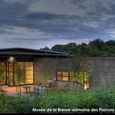 Itinérance L'Ain à Vélo - La Bresse, étranges sarrasines (3 jours)