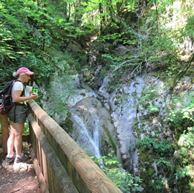 Randonnée pédestre : le Creux de l'Envers