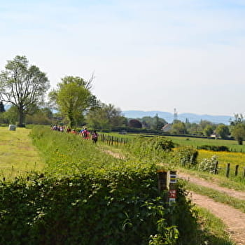 Chemins de la Jouvencelle - SAINT-GENGOUX-LE-NATIONAL