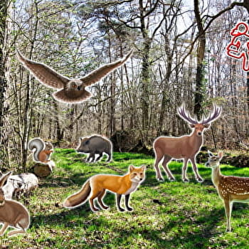 Les Pas Curieux de Vergigny - VERGIGNY