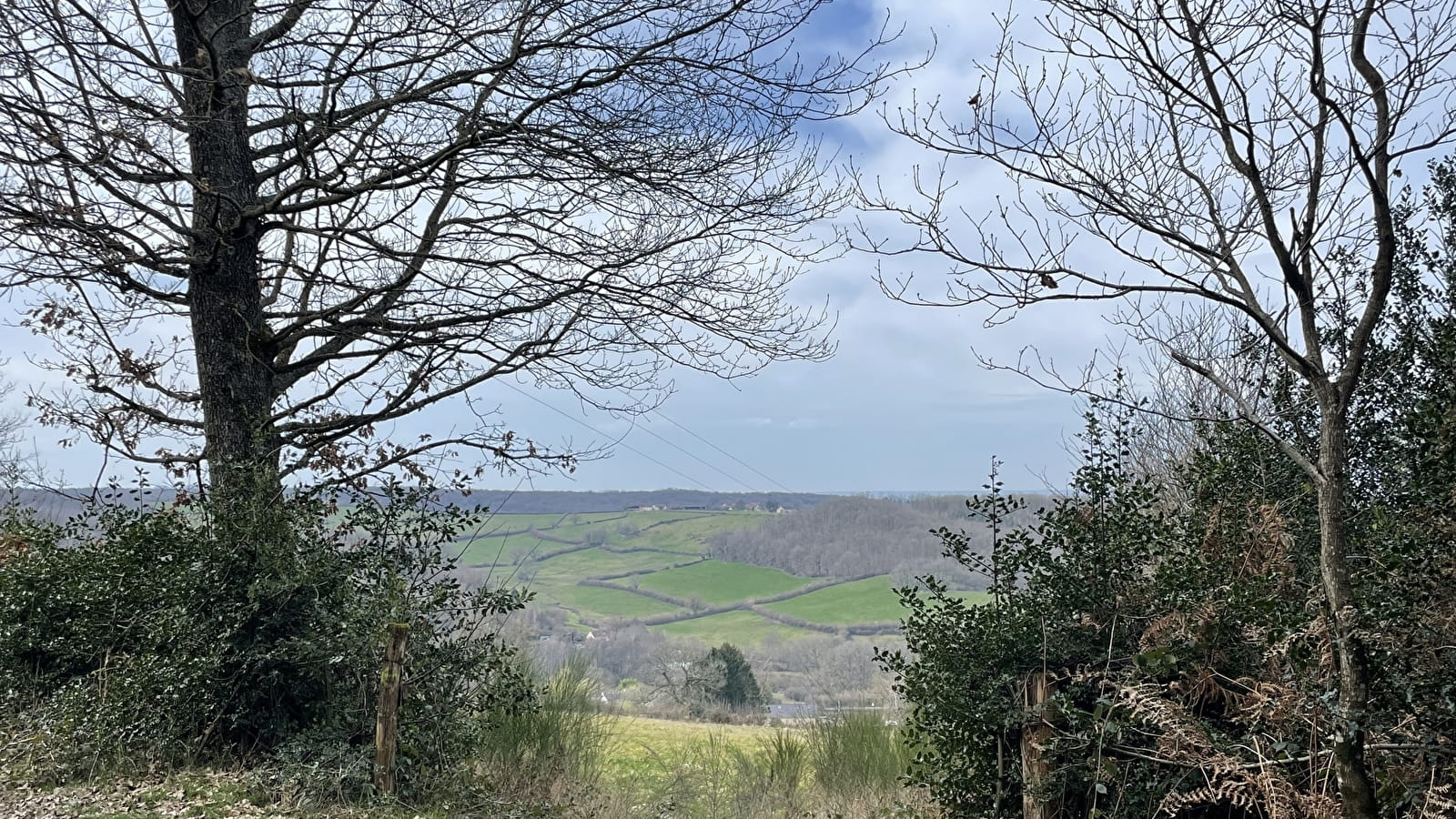 Chemin des chétifs bois