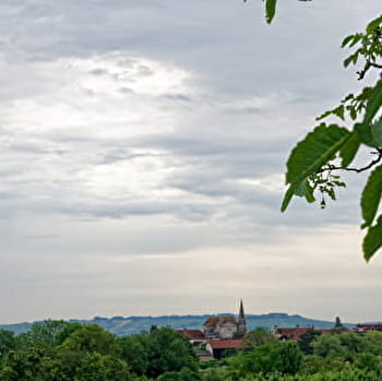 La Cool'angeoise - COULANGES-LA-VINEUSE