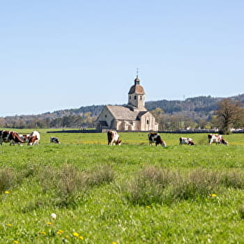 Les Gorges de la Valouse - 50B - ARINTHOD