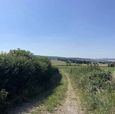 Le chemin des Celtes