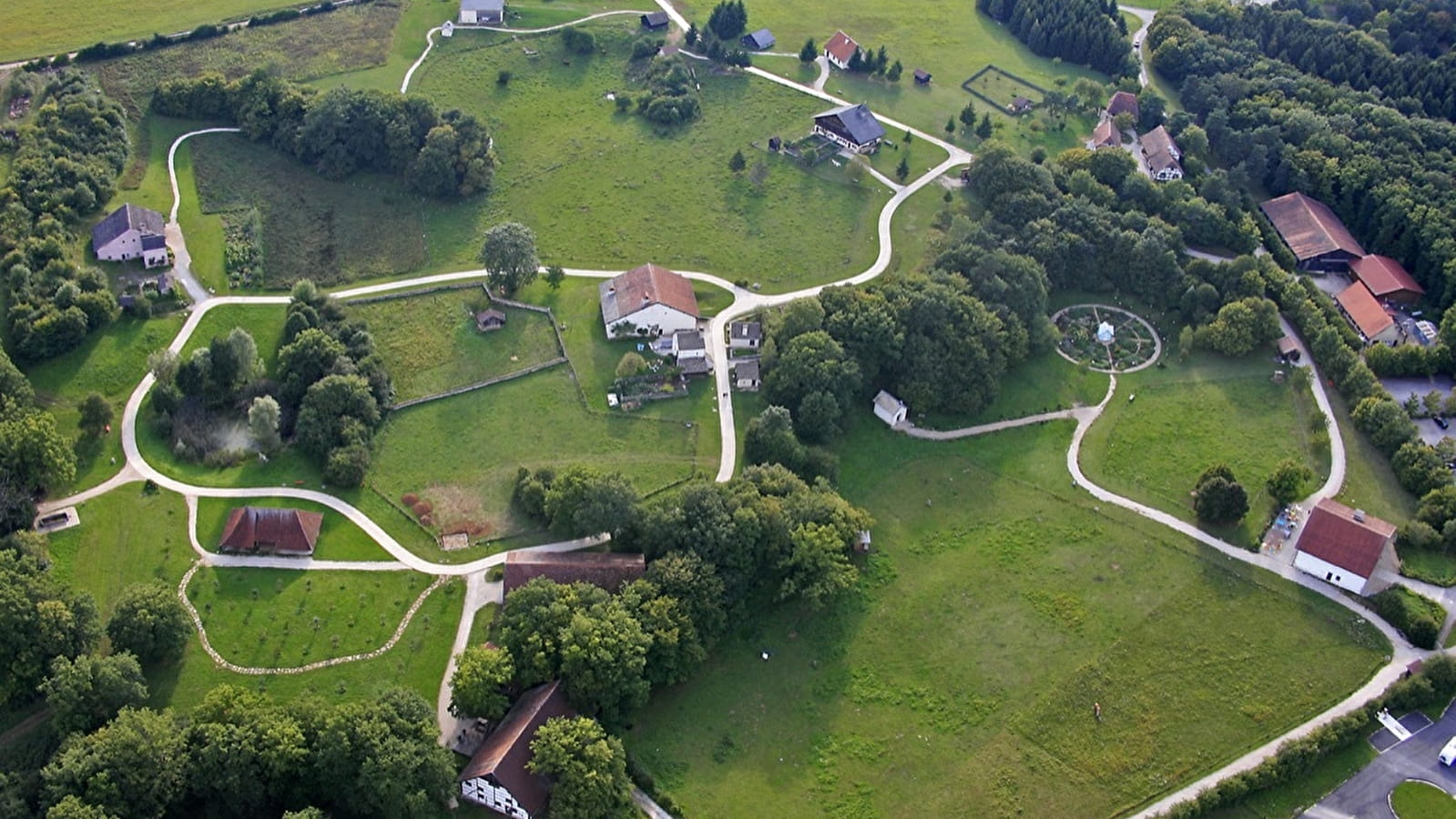 L'ancien Chêne Président