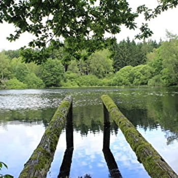 Circuit de Béviau - SAINT-BRESSON