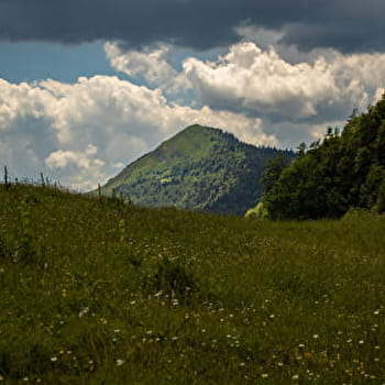 Randonnée pédestre - Crêt de Chalam depuis Forens - CHEZERY-FORENS