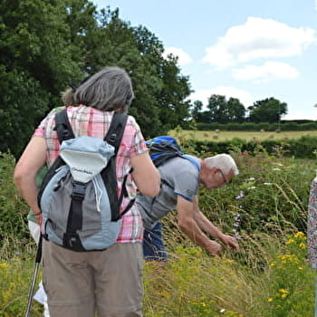 Circuit de Pierre Luzière - TINTRY