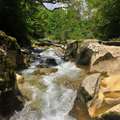 Tour de Pays VTT Bugey - Grand Colombier - Espace FFC Ain Forestière : étape 1 Culoz - La Praille
