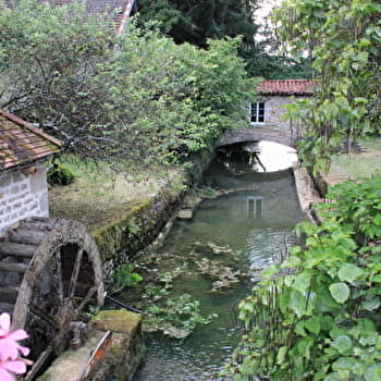 Les Clapotis du Solnan - VERJON