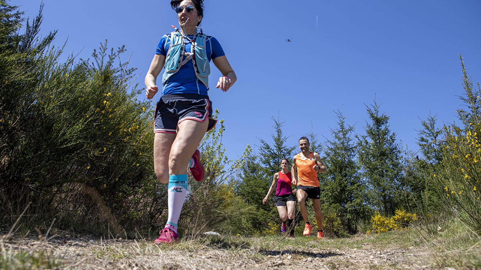Circuit de Trail: Boucle n°1 de Moux-en-Morvan