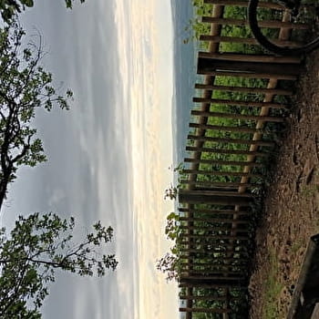 Bois de Moini - QUINGEY