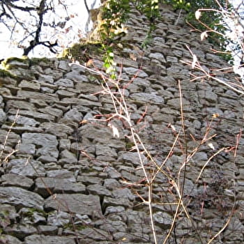 Randonnée - Les crêtes et ruines de la maison forte de Lomont - VAL-REVERMONT