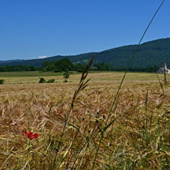 Boucle 17 : Vallée du Suran - VAL SURAN