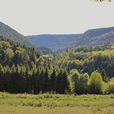 Mur-Mur(es) de pierres