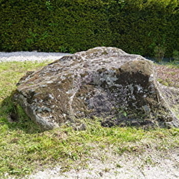 Balade : à la découverte de la Pierre à Cercles - DIVONNE-LES-BAINS