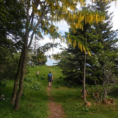 Randonnée pédestre : La Faucille - Le belvédère du Turet