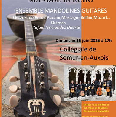 Concert ' Viva l'opéra '