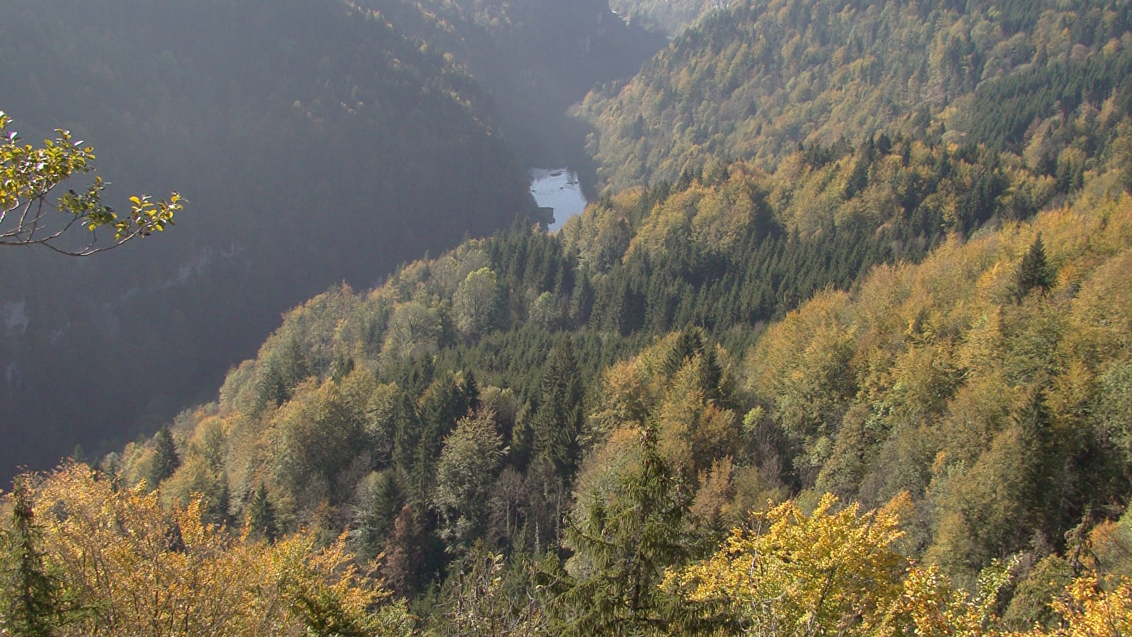 La fête de la Roche aux Chevaux
