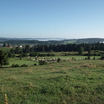Les Chalets - LES VILLEDIEU