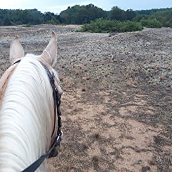 Circuit des prairies du Val de Saône - LAIZ