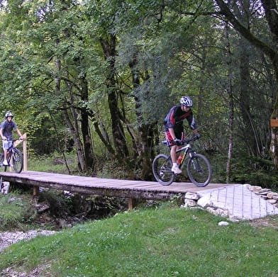 Parcours VTT 50 vert - Tour des Lésines - Espace FFC Ain Forestière