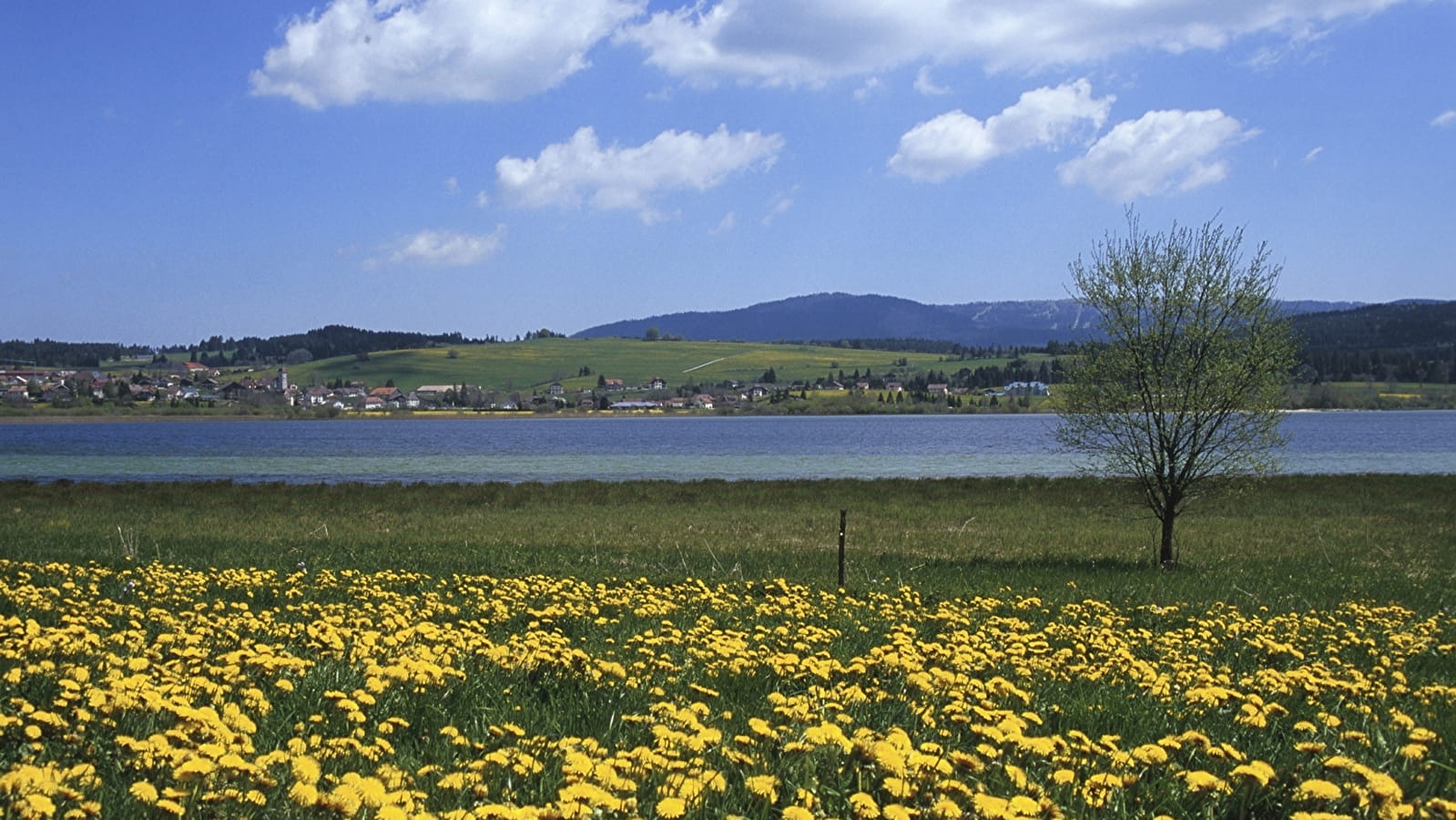 Tour du Lac de Saint-Point