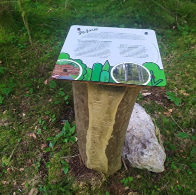 Du coin d'amont au coin d'aval