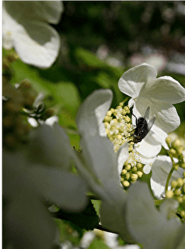 Circuit VTT n°57 / Vorges-les-Pins - VORGES-LES-PINS