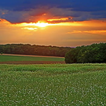La Vallée des Ânes - ETAIS-LA-SAUVIN