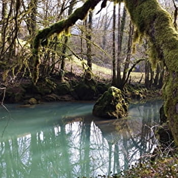Sentier Courbet 7 : L'école de la nature - ORNANS