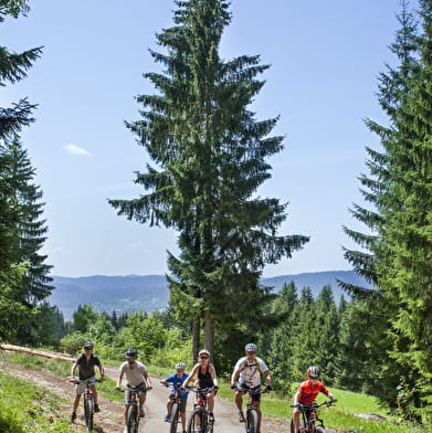 Parcours VTTAE 28 bleu - Tour des Belvédères - Espace FFC Ain Forestière