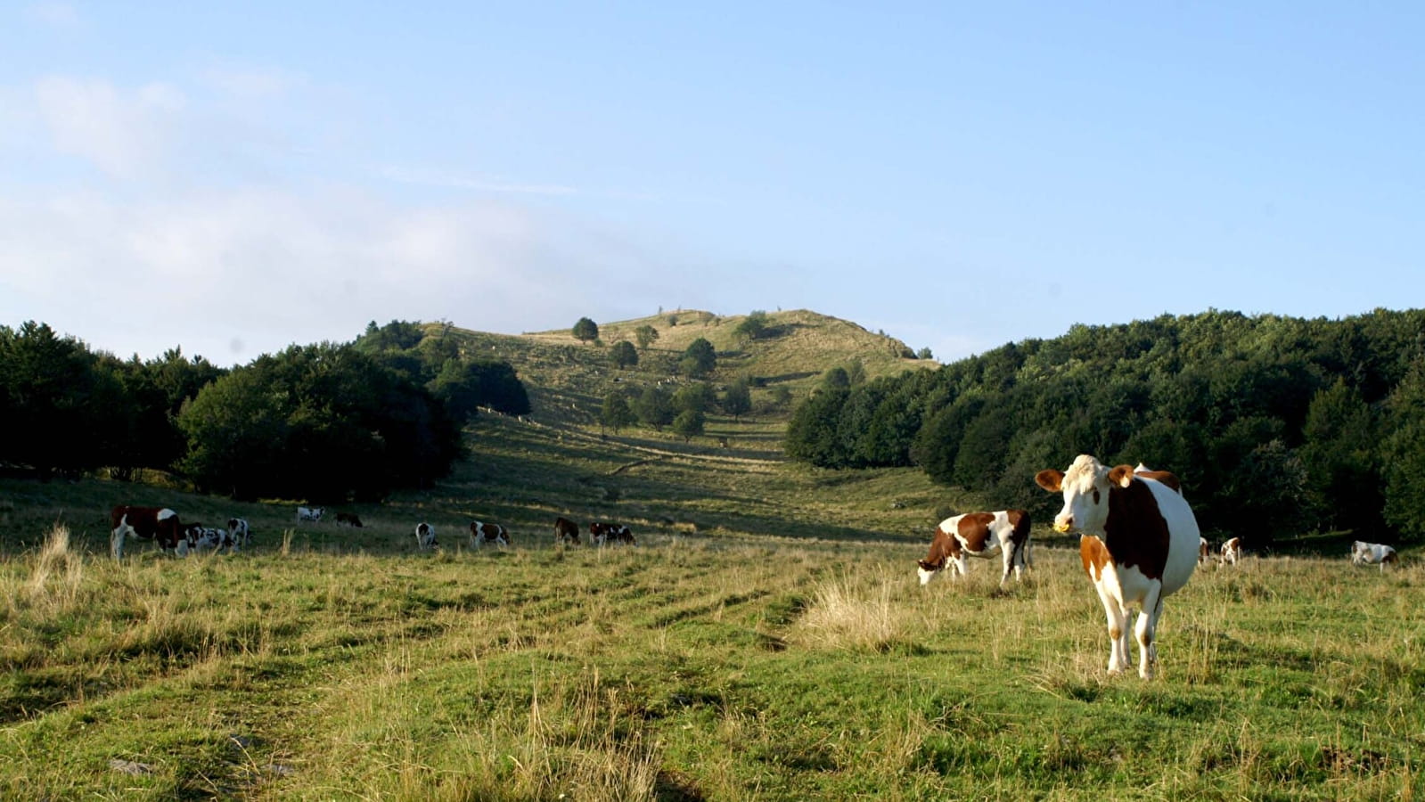 Randonnée pédestre : Boucle des Platières