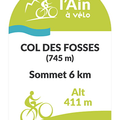 Col des Fosses depuis Appregnin (Saint Germain les Paroisses)