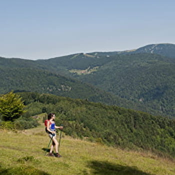 Traversée du Massif des Vosges - BELFORT
