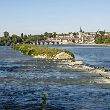 Le GR®3, la Loire sauvage à pied - GILLY-SUR-LOIRE