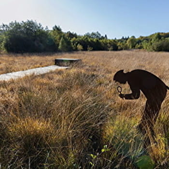 Vers les bois du Folin - SAINT-LEGER-SOUS-BEUVRAY