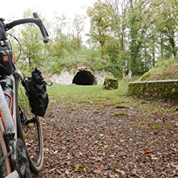 Saône qui peut - SAONE