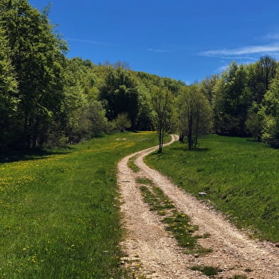 Circuit de randonnée le Tour de Retord