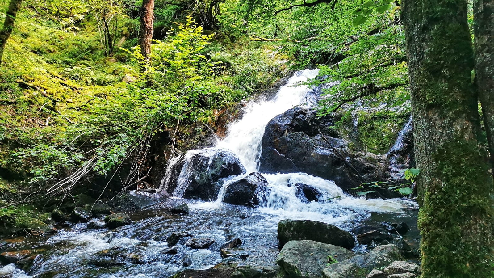 Les Gorges de La Canche