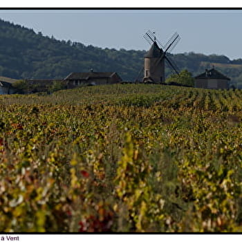 Sous les ailes du moulin - ROMANECHE-THORINS