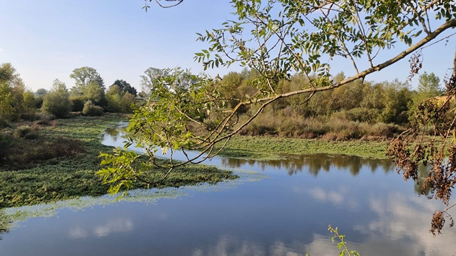 Espace Naturel Sensible du Petit Fleury