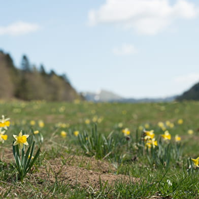 Randonnée pédestre - La Montée de Sur-Lyand
